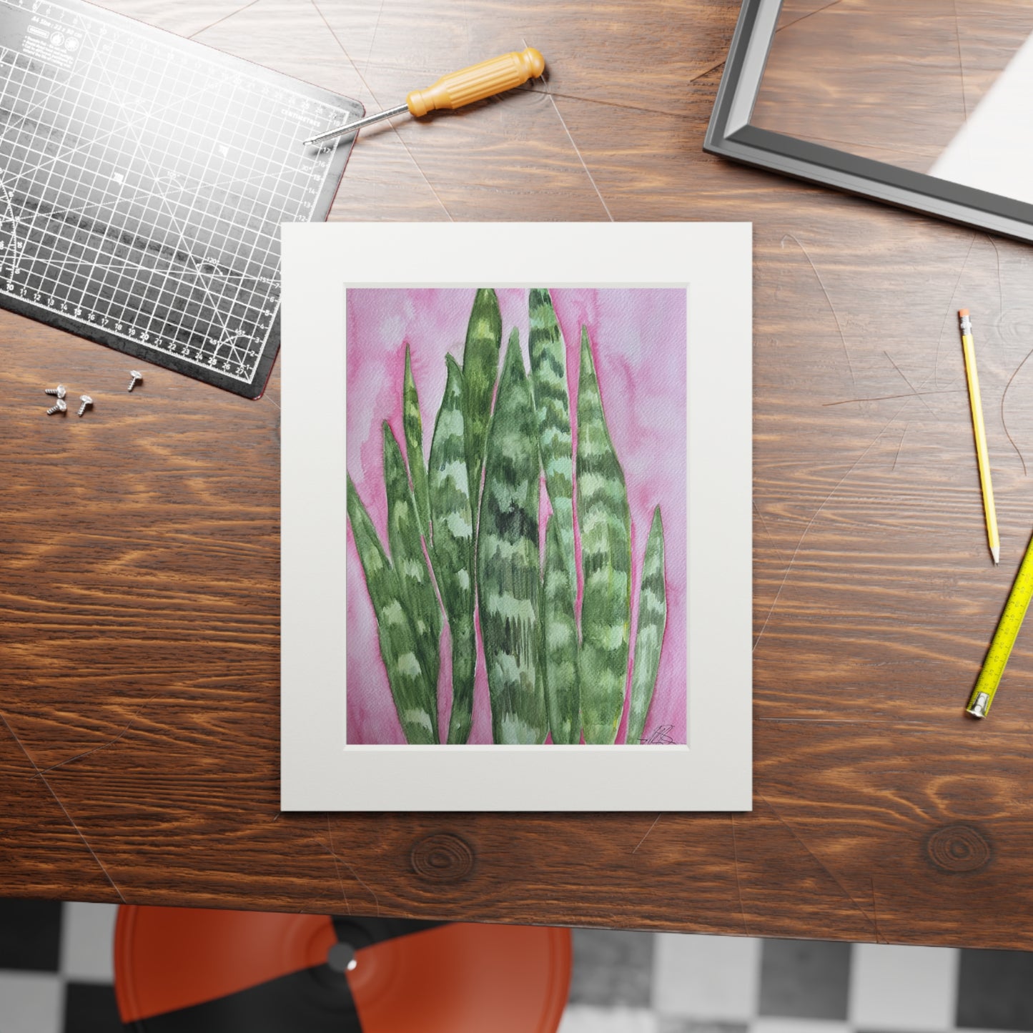 Snake Plant on Pink - Fine Art Print