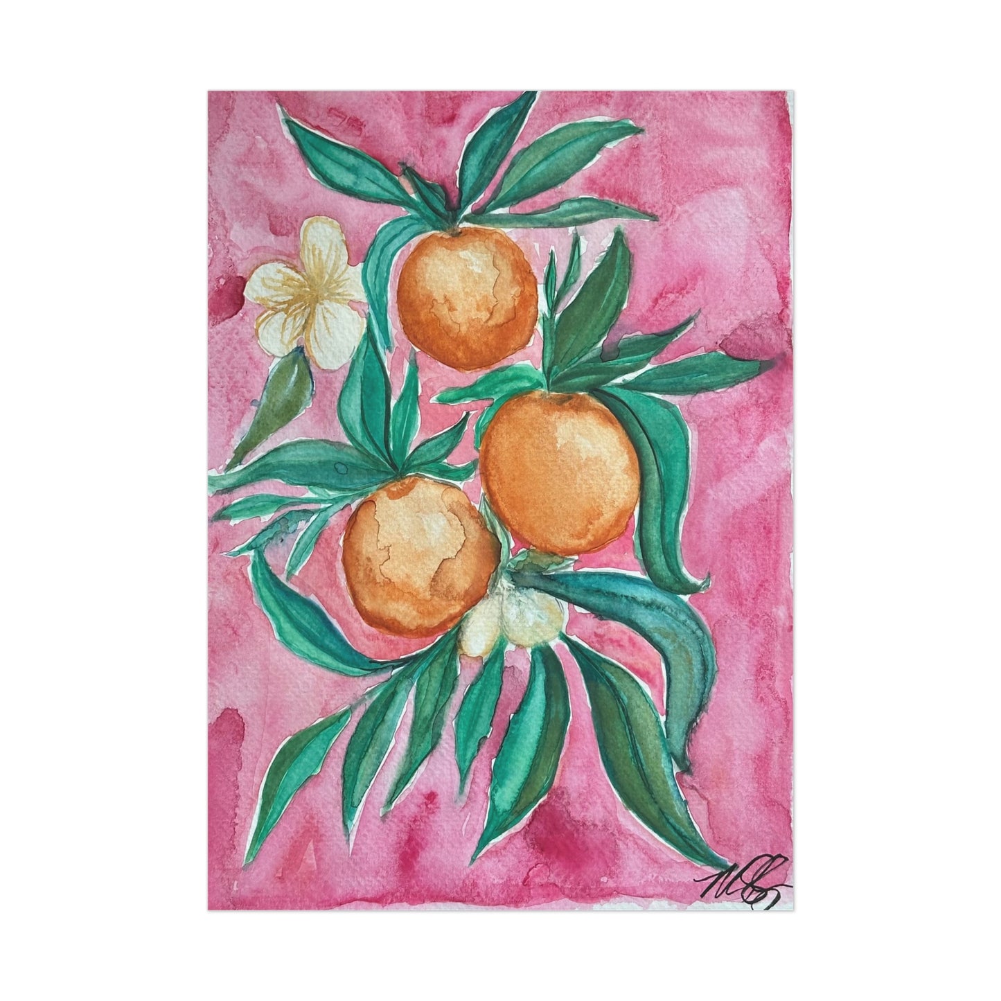 Watercolor Citrus in Pink Unframed Print