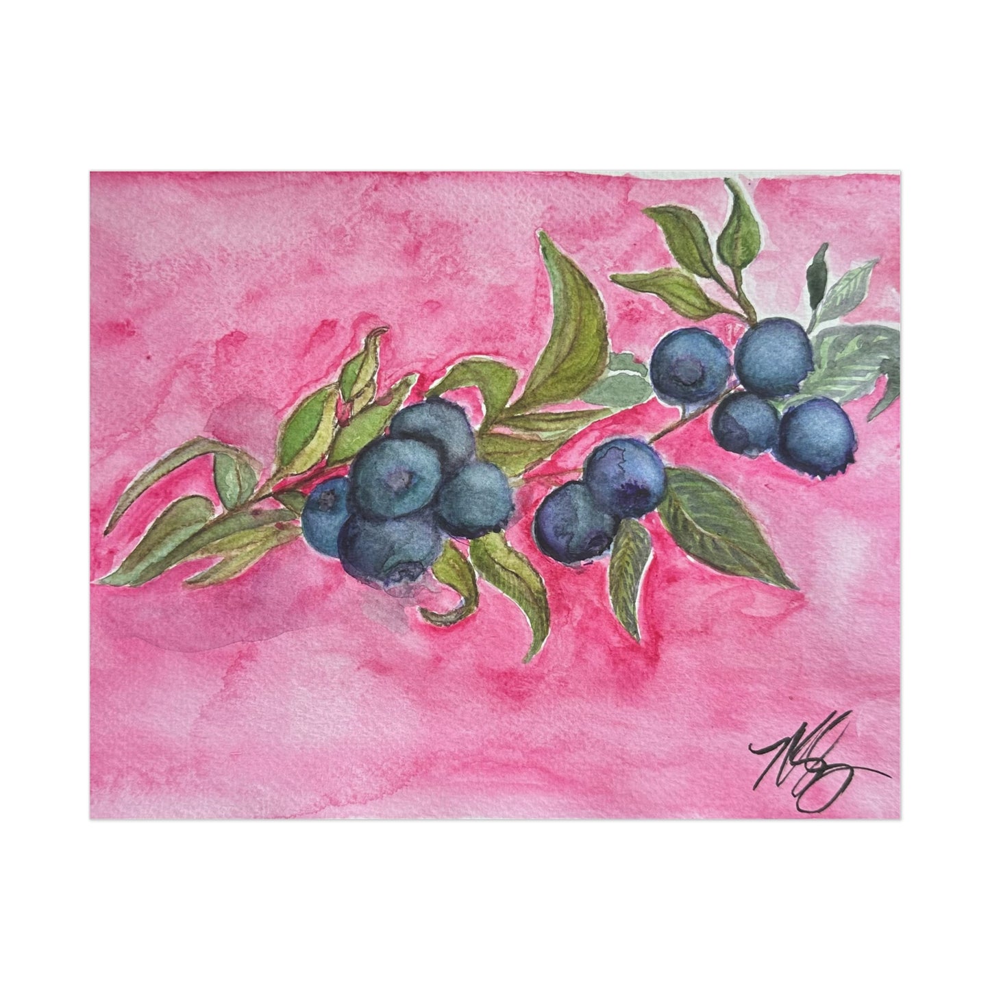 Watercolor Blueberries Unframed Print